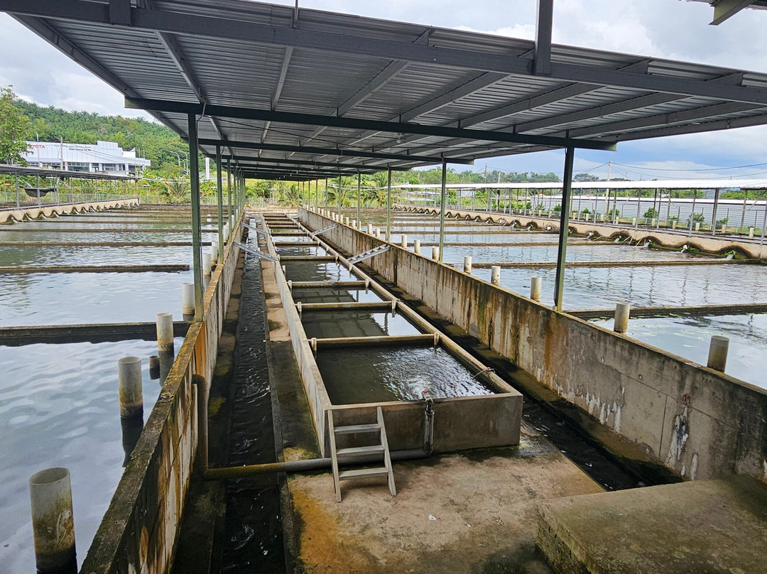 Yun Fook Trading (kolam Ikan)-根地咬必去景点