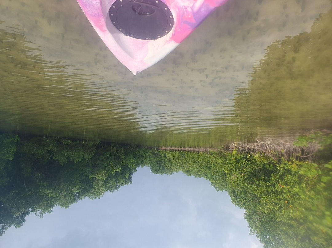 Ally Kayak-米查维必去景点