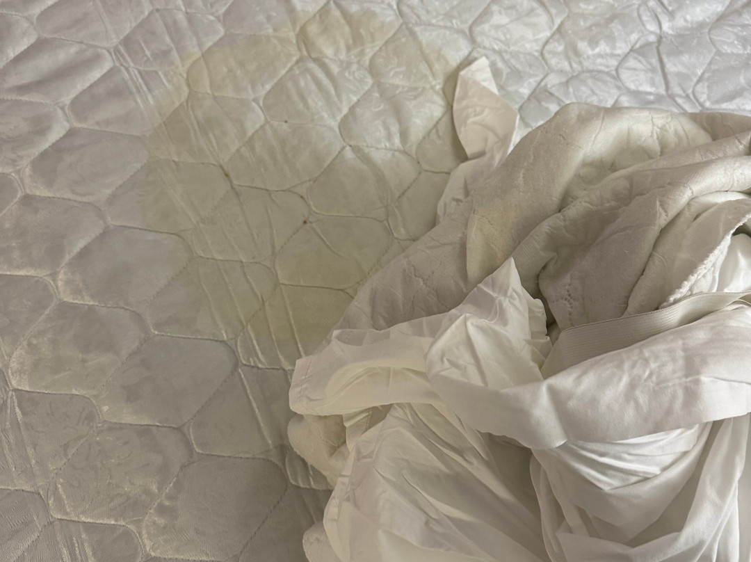 约翰溪凯悦居所主图