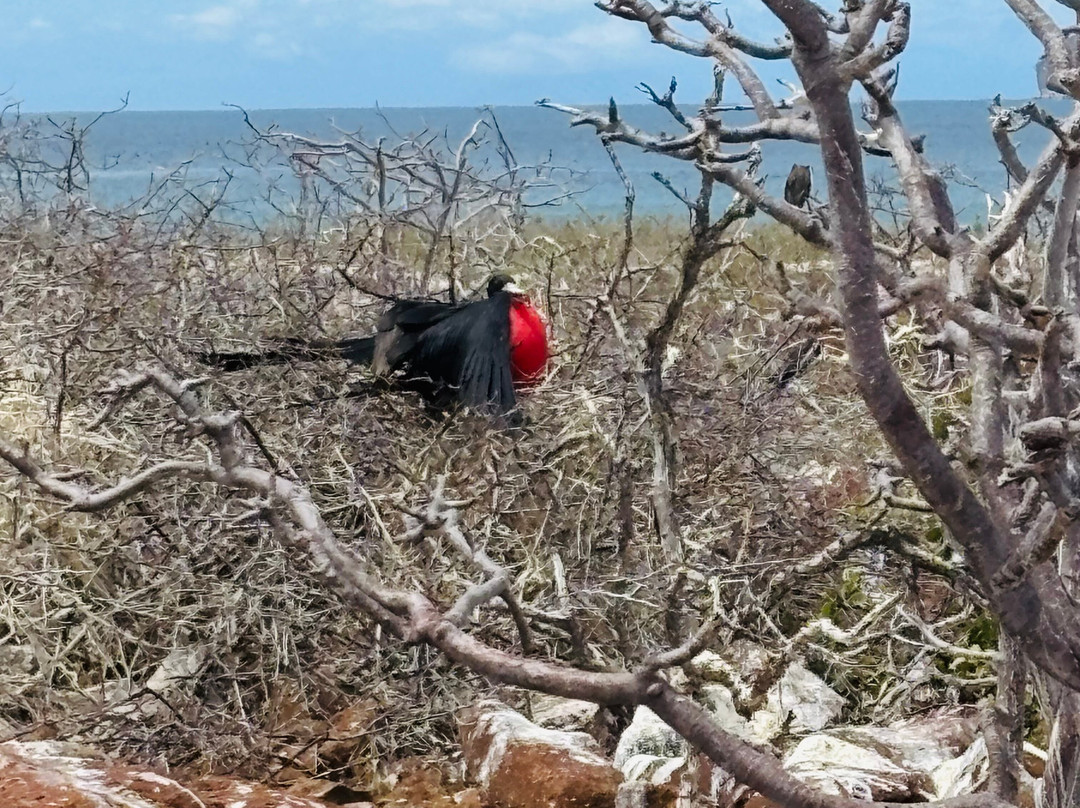 Enjoying Ecuador Travel-基多必去景点