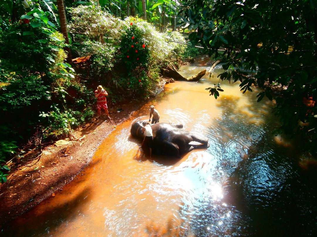 Dudhsagar Plantation-Mollem National Park必去景点