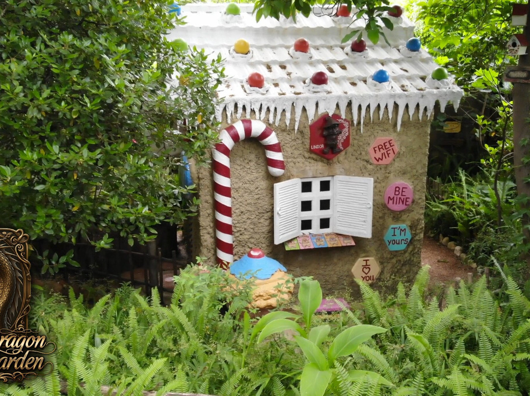 Hidden Dragon Magic Garden