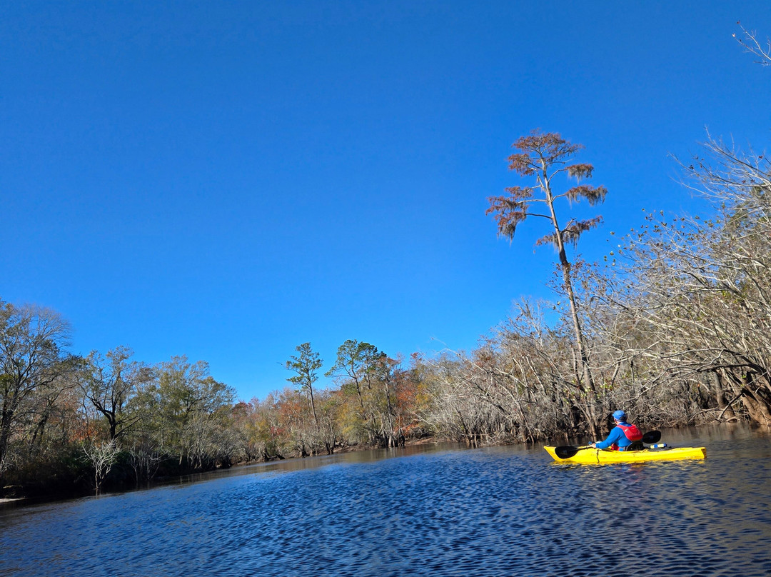 Stephen Foster Folk Culture Center State Park-White Springs必去景点