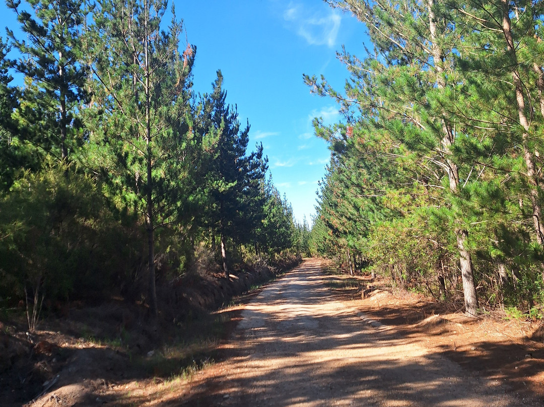 Marloth Nature Reserve-斯韦伦丹必去景点