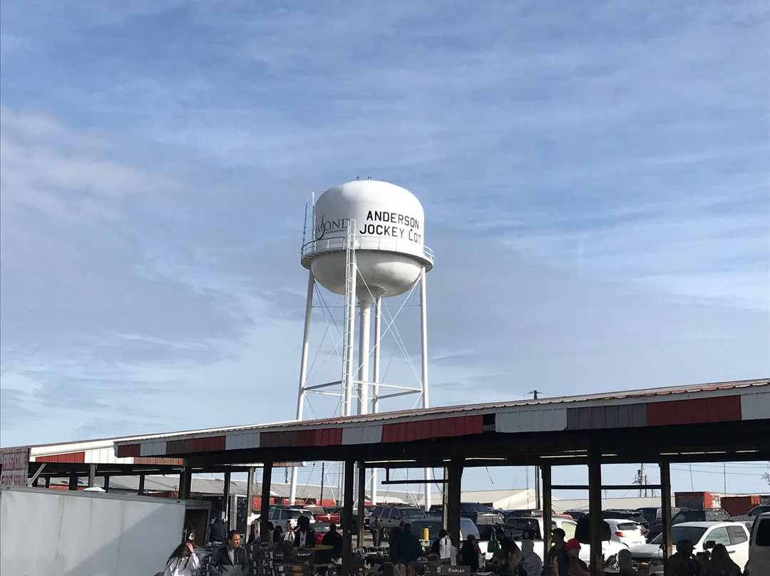 Anderson Jockey Lot-Belton必去景点