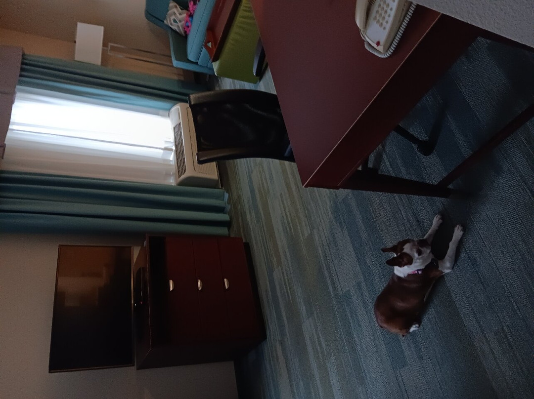 Homewood Suites by Hilton Macon-North主图