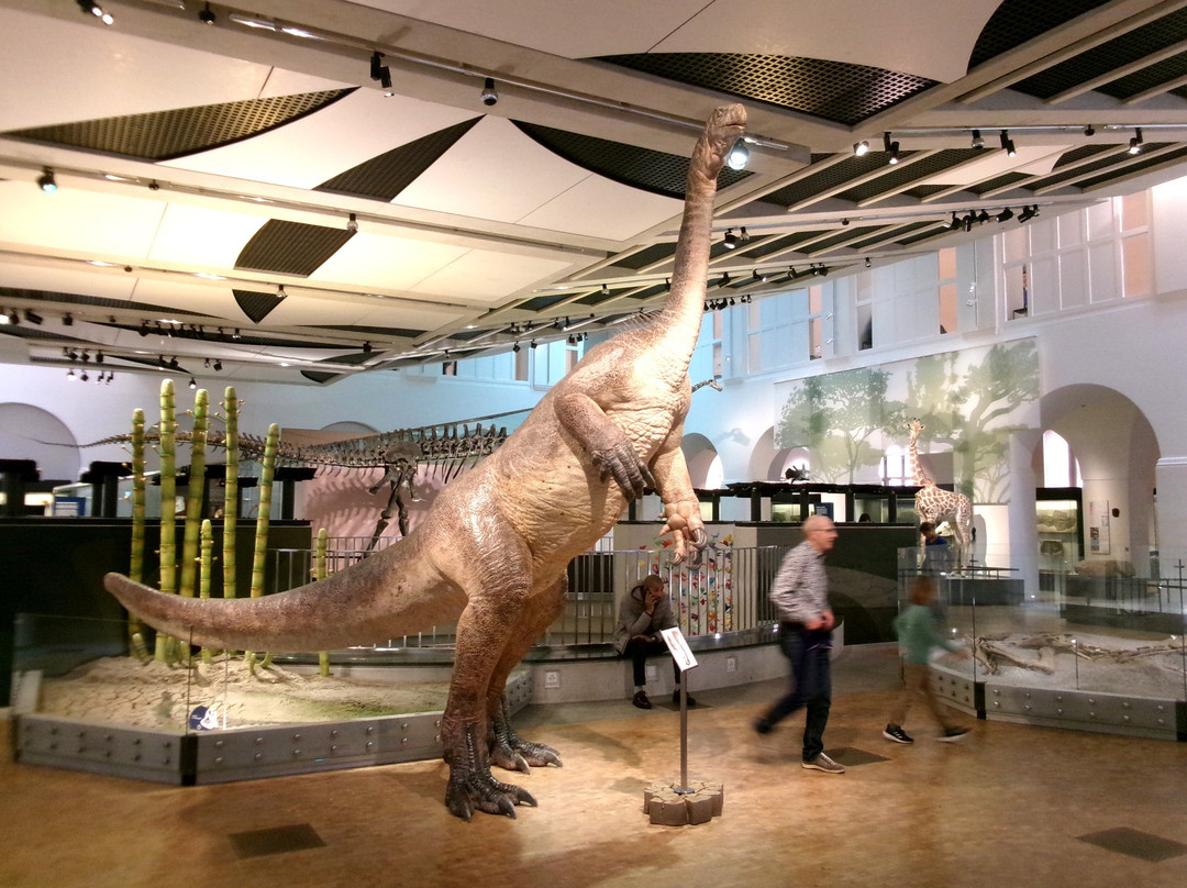 Zoologisches Museum der Universität Zürich-苏黎世必去景点