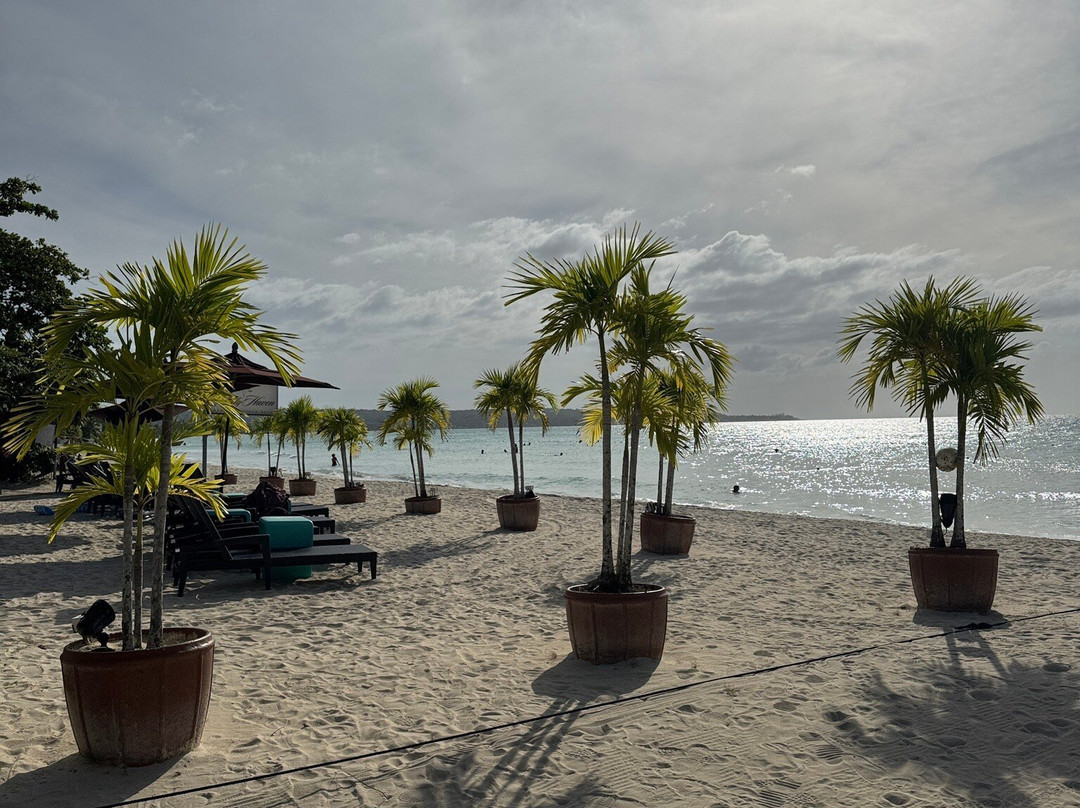 Love Travel Jamaica-蒙特戈贝必去景点