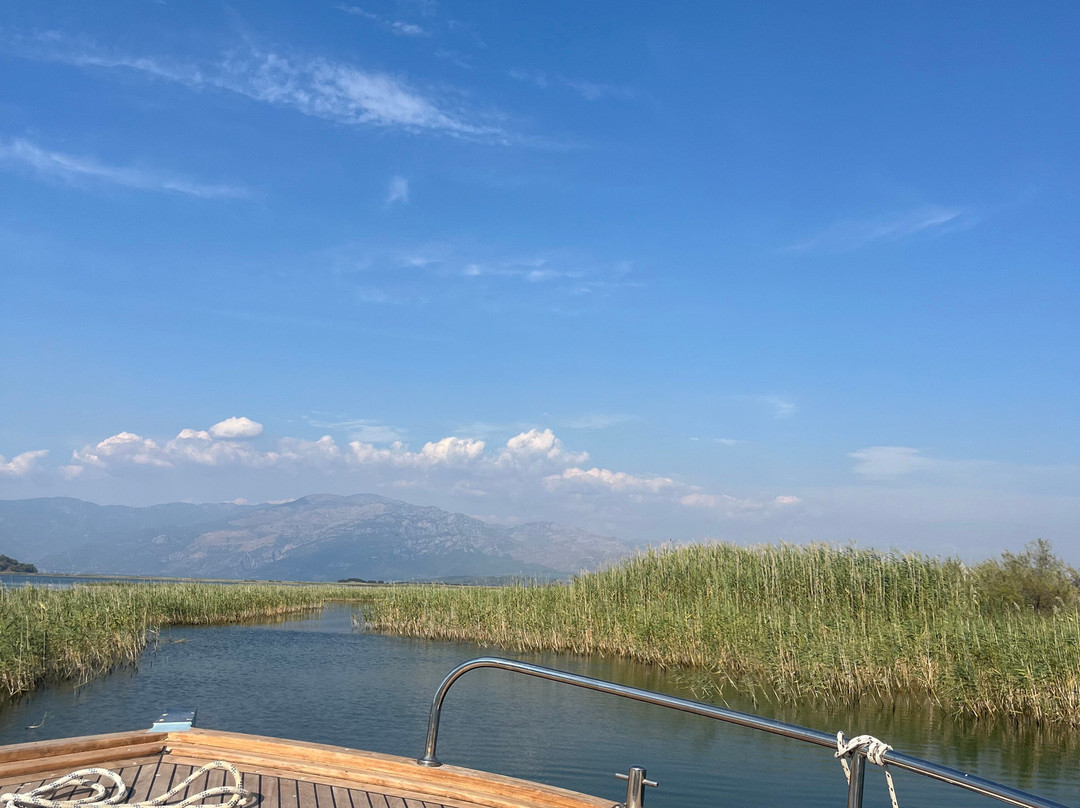 Dalyan Villa Kiydan Boat Tours景点图片