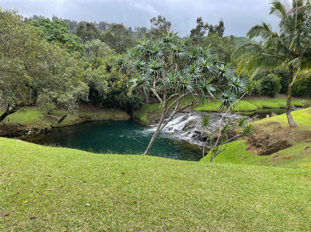 Silver Falls Ranch-基拉韦厄必去景点