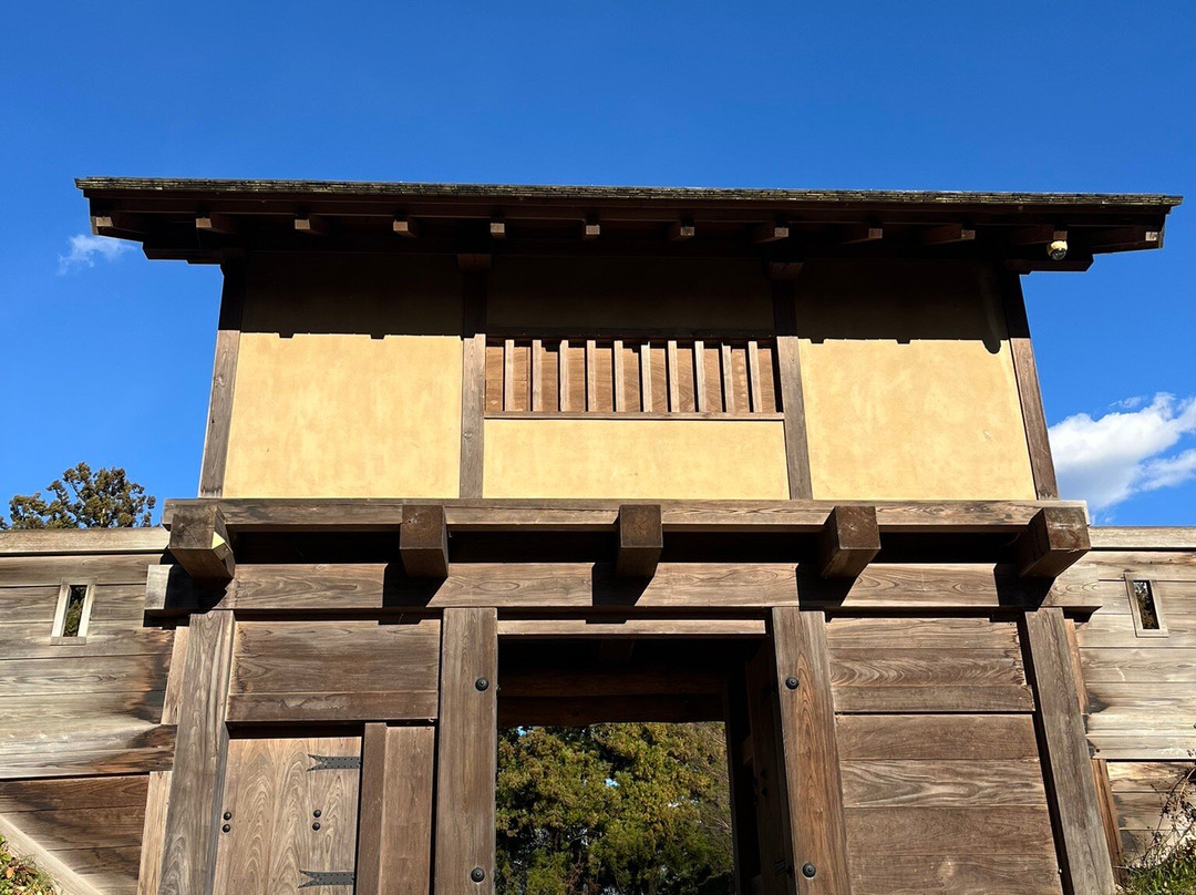 Minowa Castle Ruins景点图片