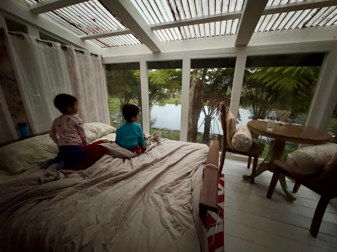 Volcano Acres Ranch Bed & Breakfast主图