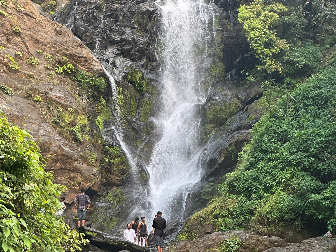 Vibhooti Falls景点图片