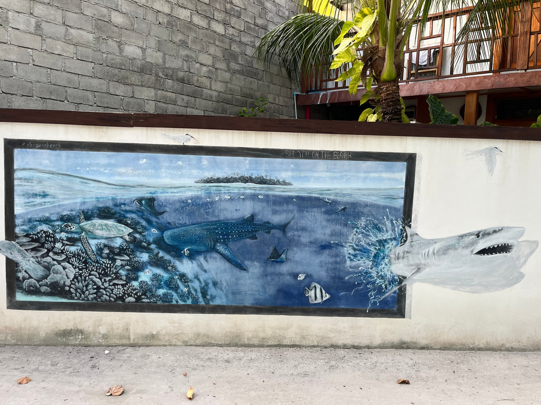 Dhamana Beach is located on the Sunrise Beach of Mahibadhoo, Maldives.主图