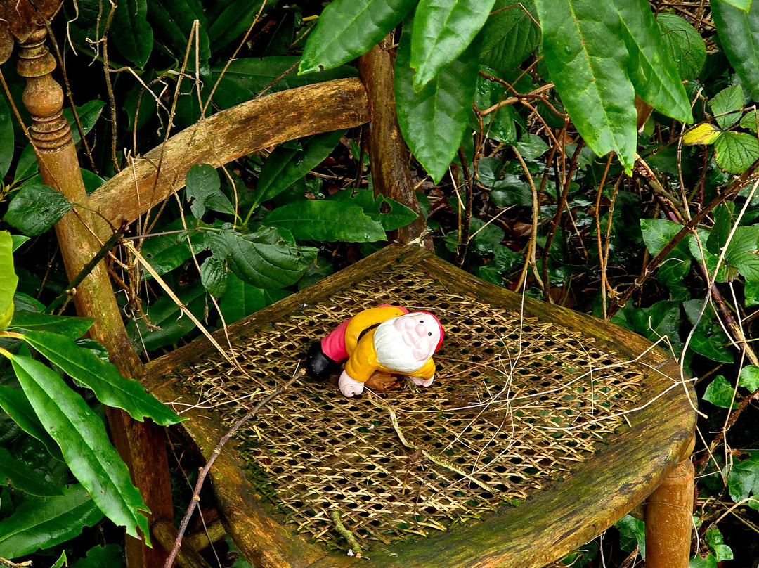 Sorbie Tower-Sorbie必去景点