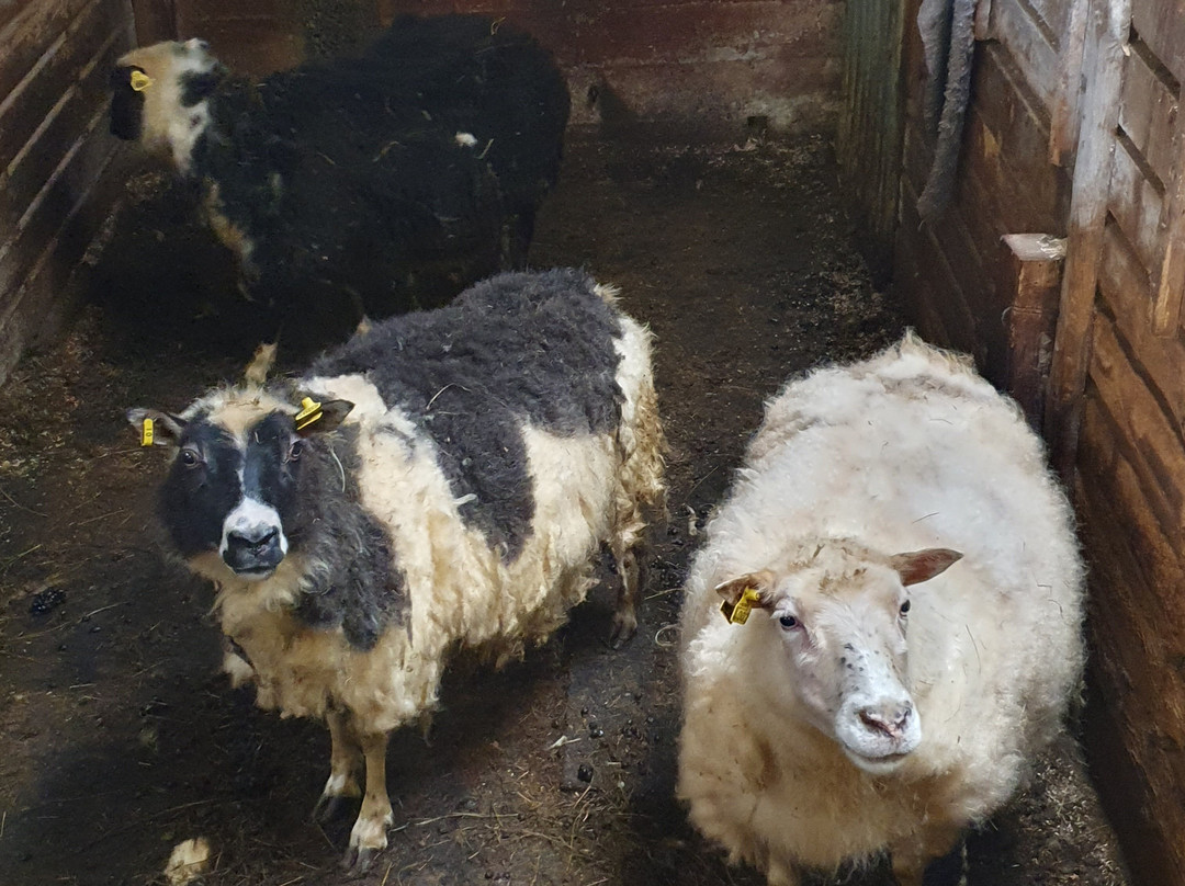 迪尼安蒂宾馆主图