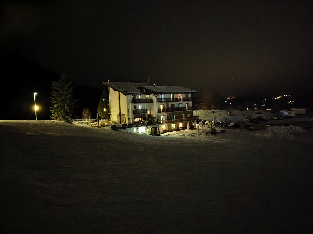 Hotel Chalet des Alpes主图