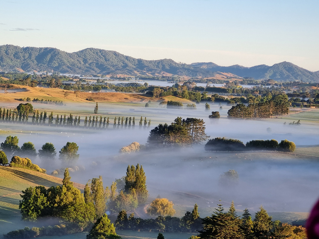 Kiwi Balloon Company-汉密尔顿必去景点