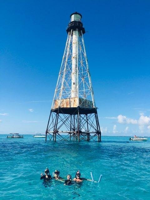 Wild Dolphin Tours-伊斯拉摩拉达必去景点