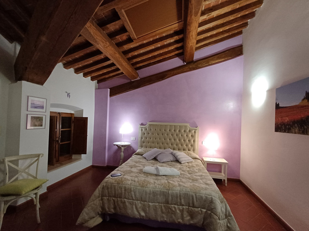 Antico Granaione B&B - Residenza D'Epoca主图
