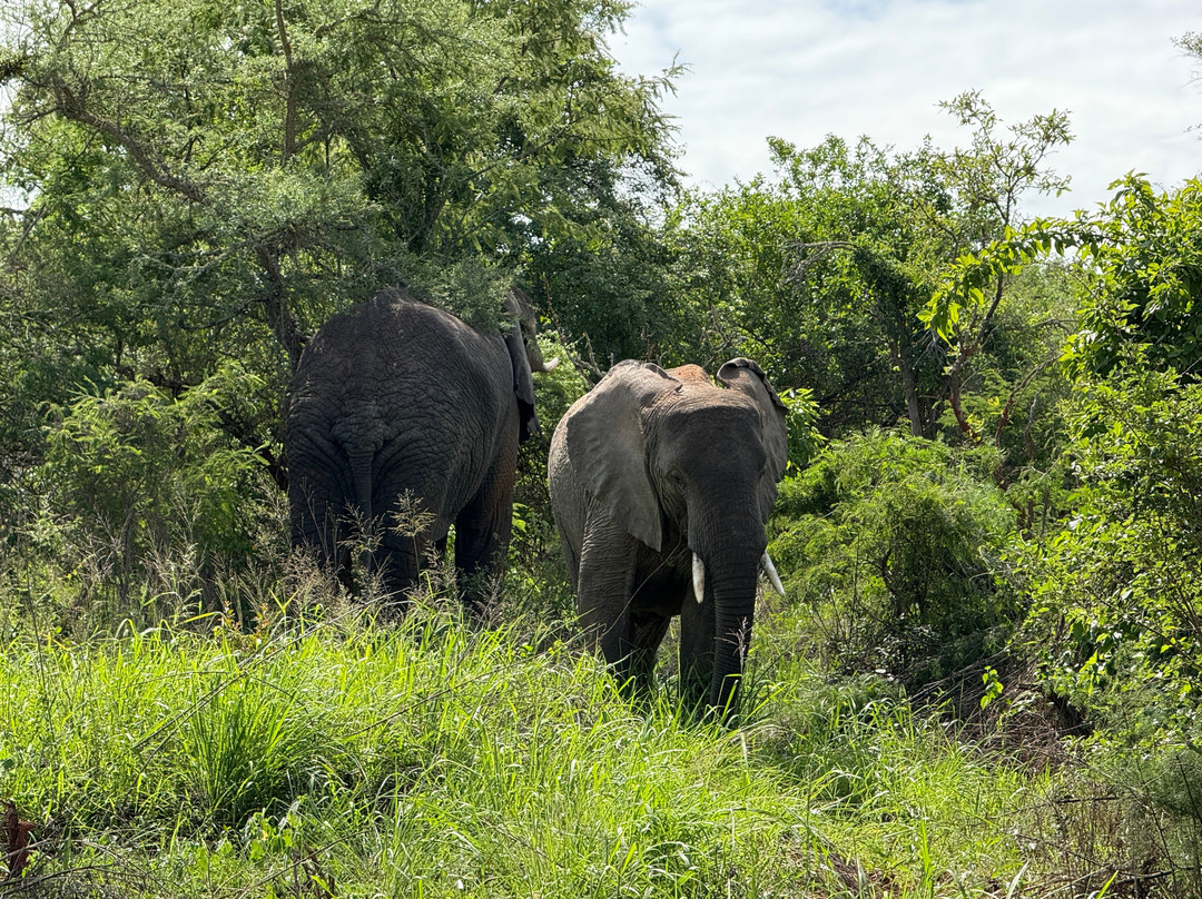 Ikaze Rwanda Tours & Travel-吉佳利必去景点