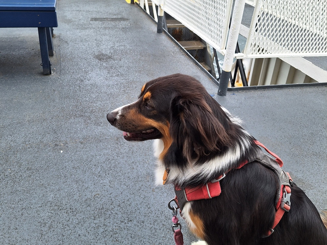 Cross Sound Ferry-新伦敦必去景点