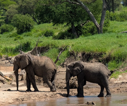 Togola Safaris And Adventure-阿鲁沙必去景点