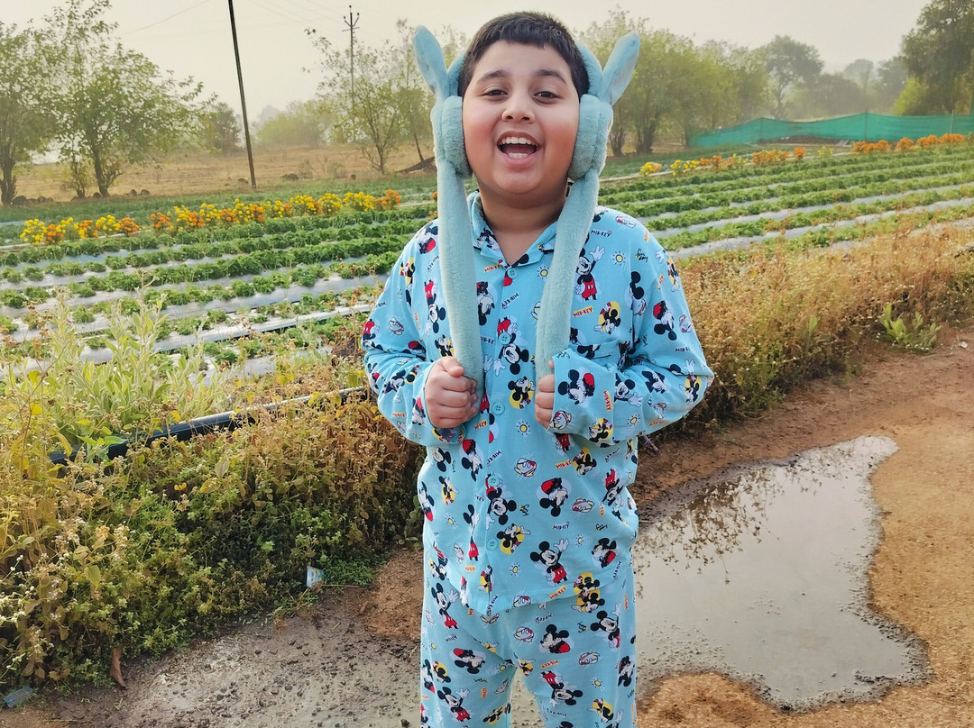 Hotel Amora Premium主图