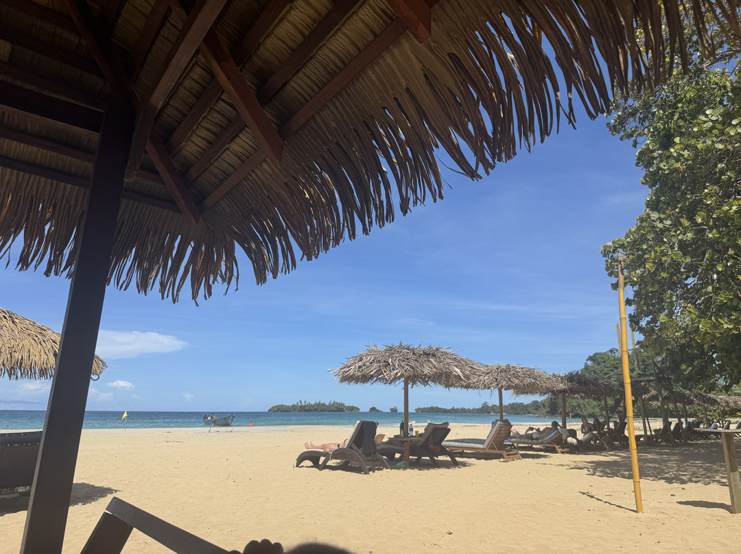 Bocas Water Excursions景点图片