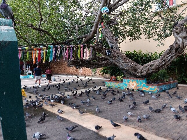 Capilla del Santo Cristo de la Salud-圣胡安必去景点