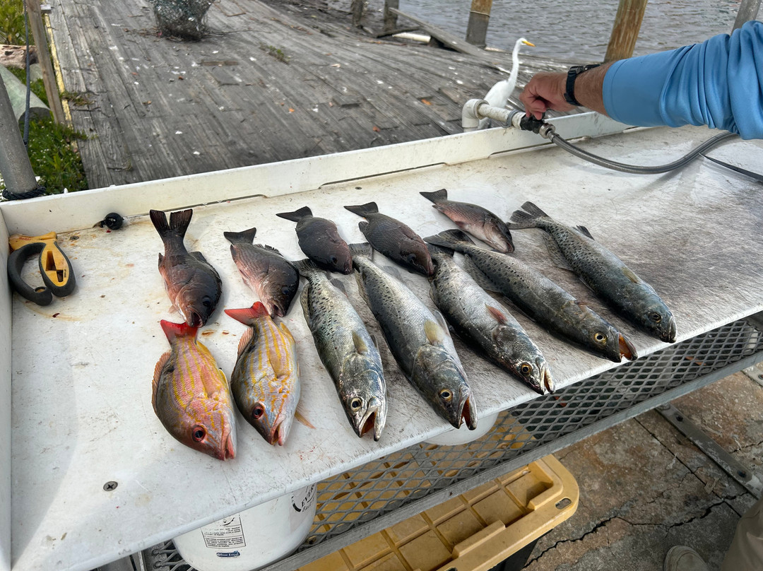 Everglades City Fishing Charters景点图片