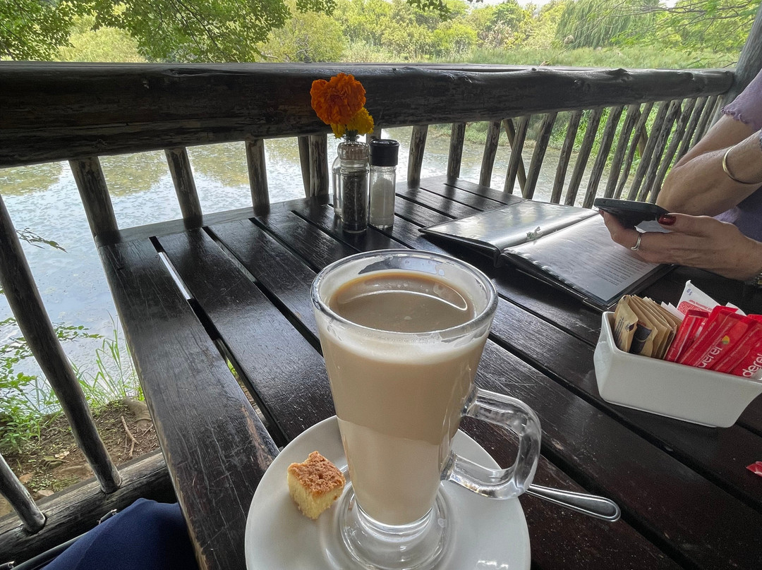 Austin Roberts Bird Sanctuary-比勒陀利亚必去景点