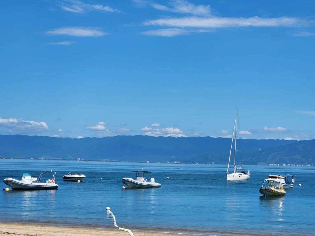 Praia da Armação-伊利亚贝拉必去景点