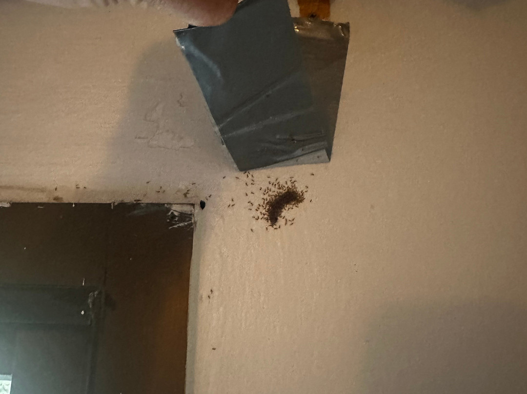 兰达尼斯海滩度假村主图