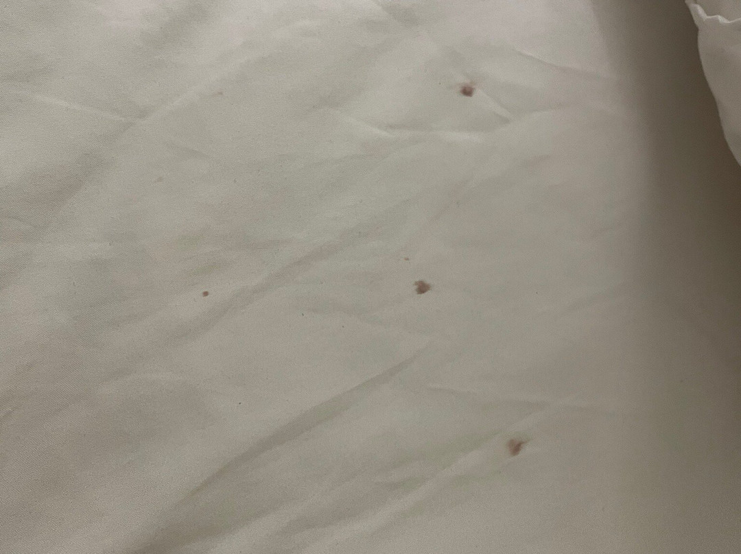 Villa Coral Guesthouse主图