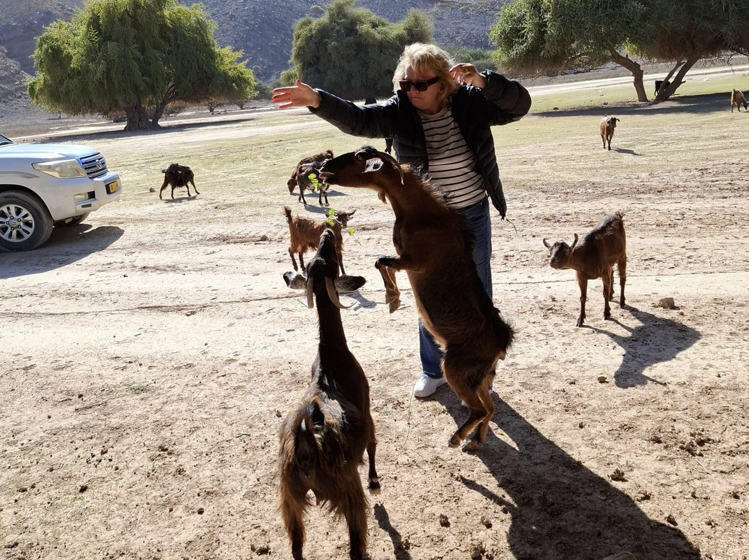 Arabian Musandam Tours-海塞卜必去景点