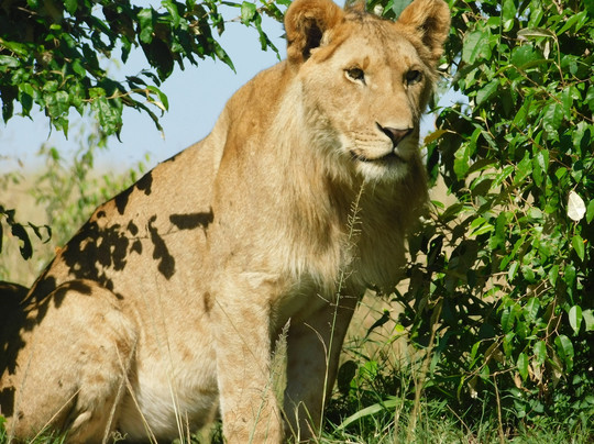 Aventura En Africa-纳罗克必去景点