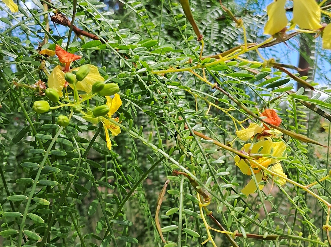 Parque El Jaguel-埃斯特角城必去景点