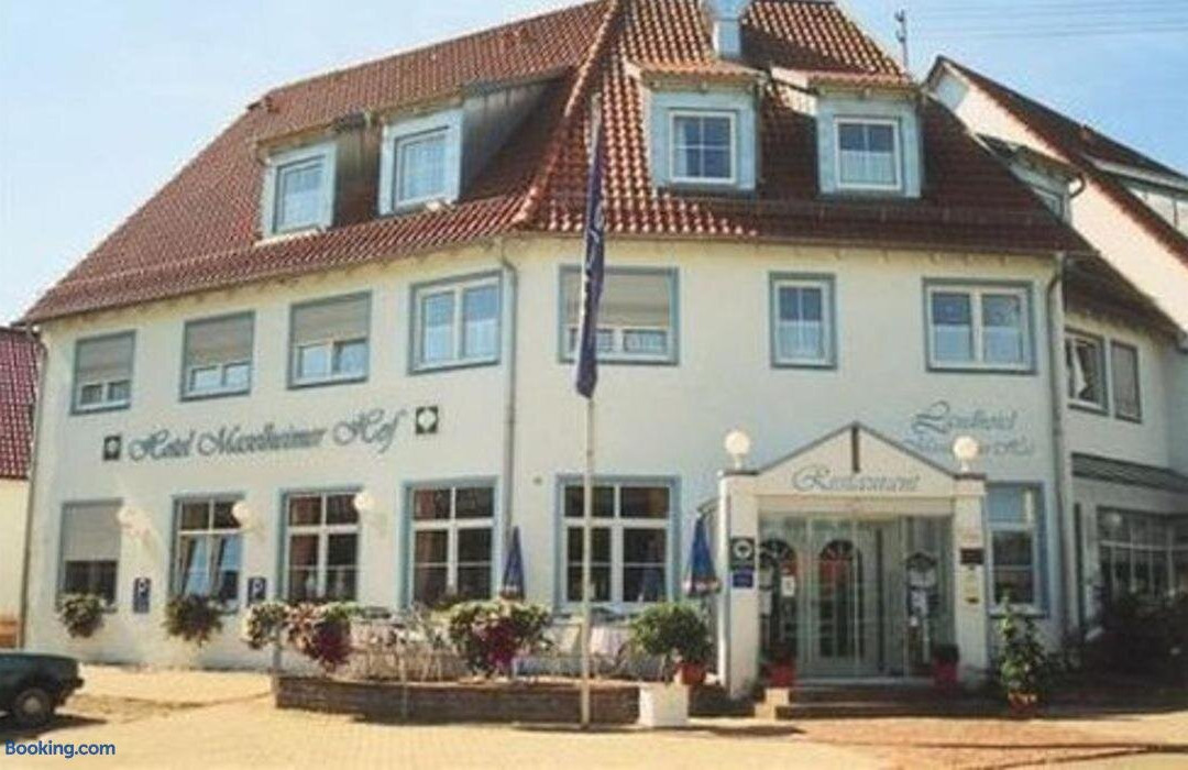 Ochsenhausen酒店住宿-Landhotel Maselheimer Hof