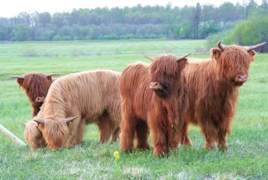 Nature Park Dviete Water-Meadows-Bebrene必去景点