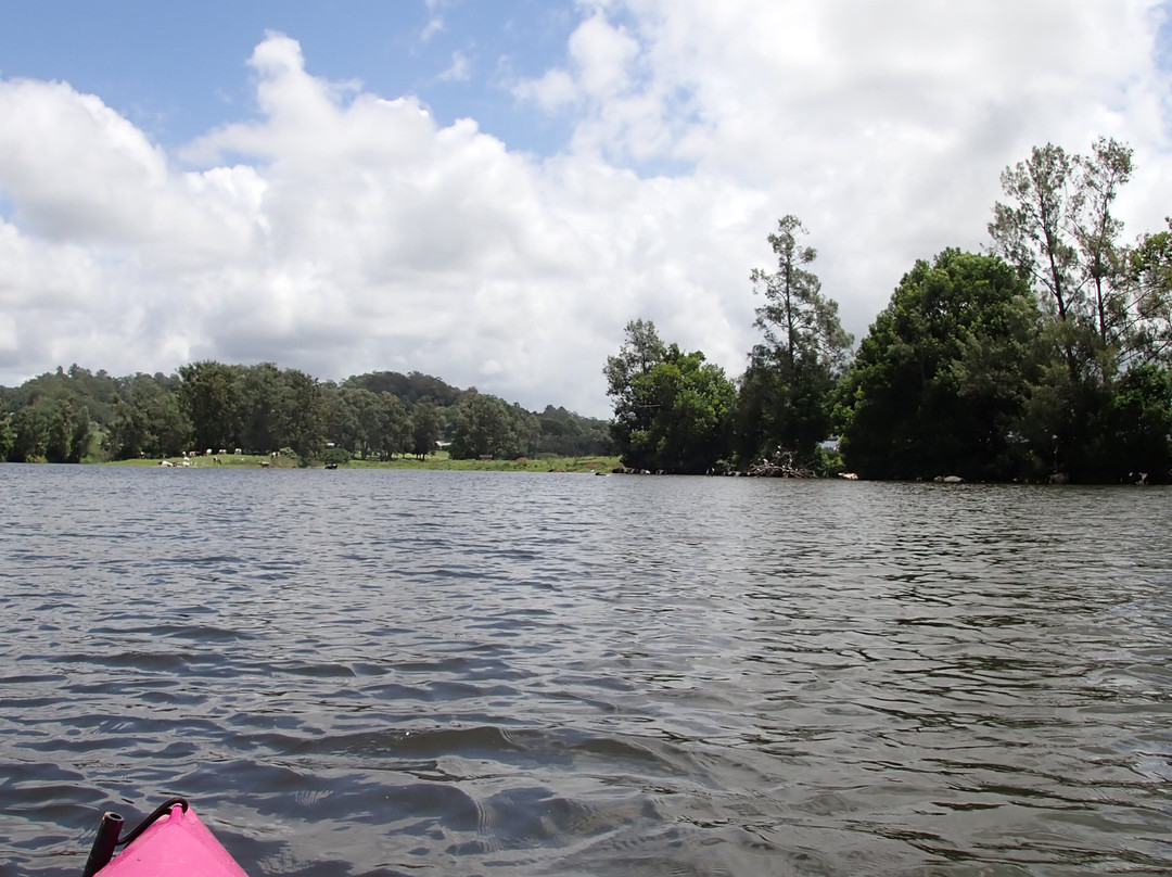 Bellingen Canoe Adventures景点图片