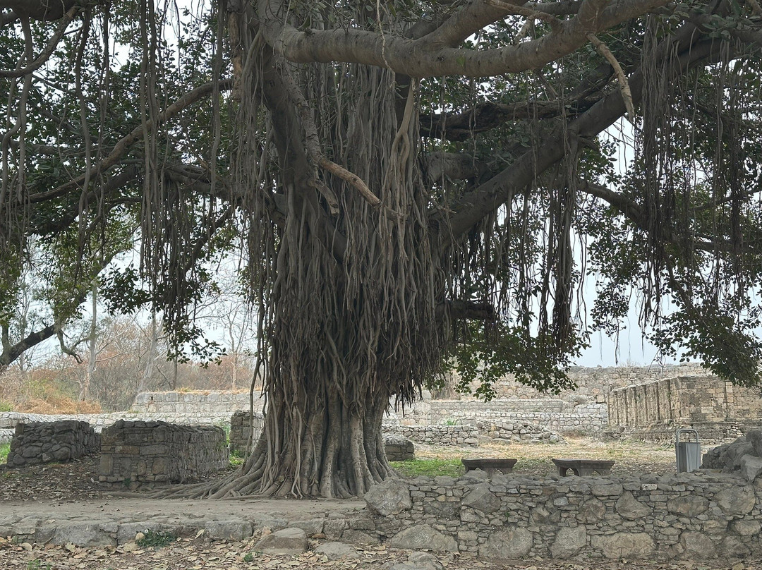 Dharmarajika Stupa And Monastery-Taxila必去景点