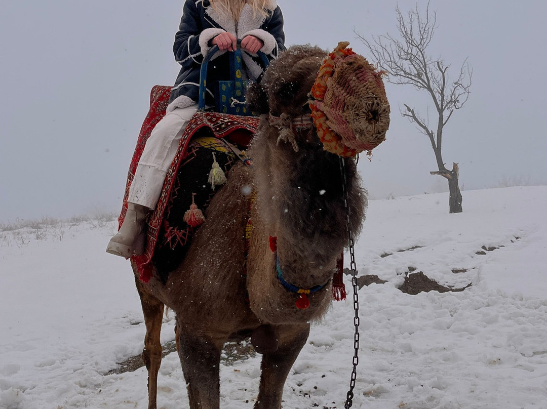 World Of Tomorrow Travel-格雷梅必去景点