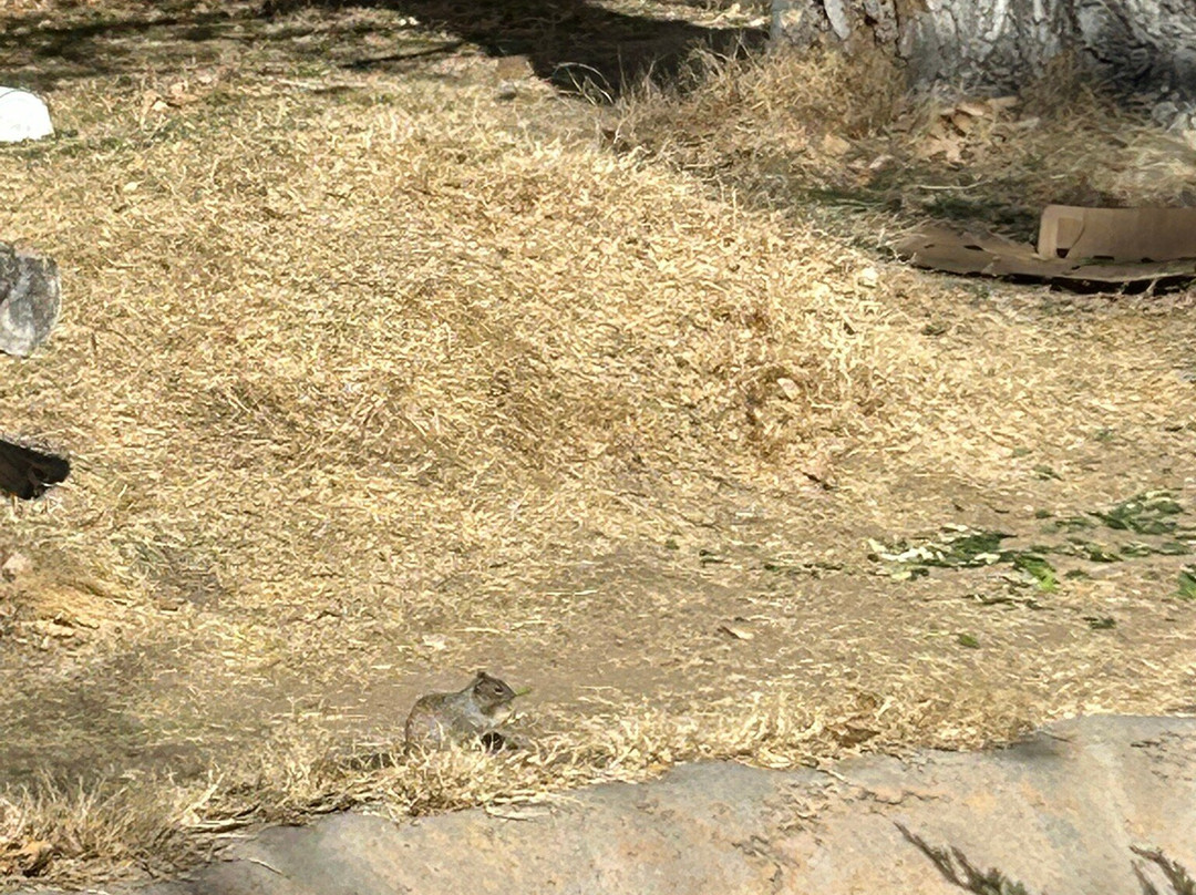 ABQ BioPark Zoo-阿尔伯克基必去景点