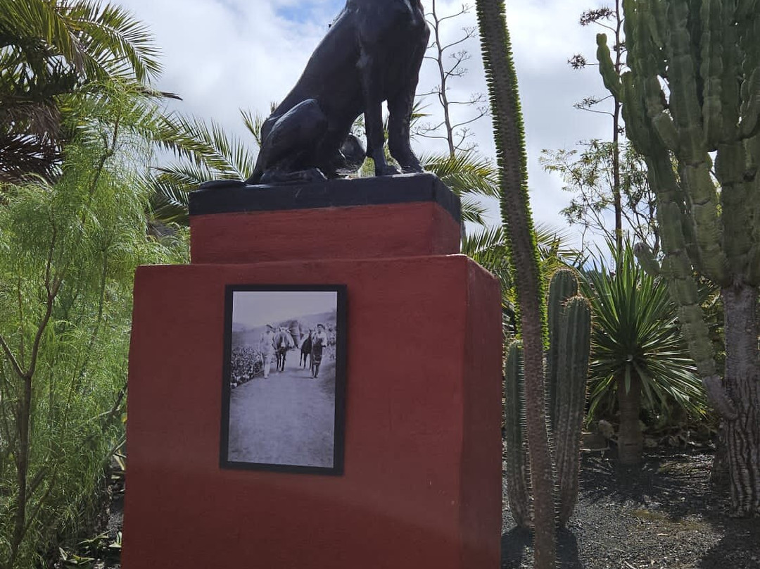 Bodega San Juan - Museo del Vino景点图片