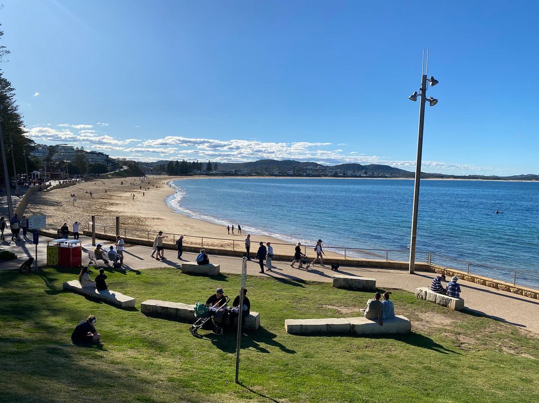 Terrigal Beach景点图片