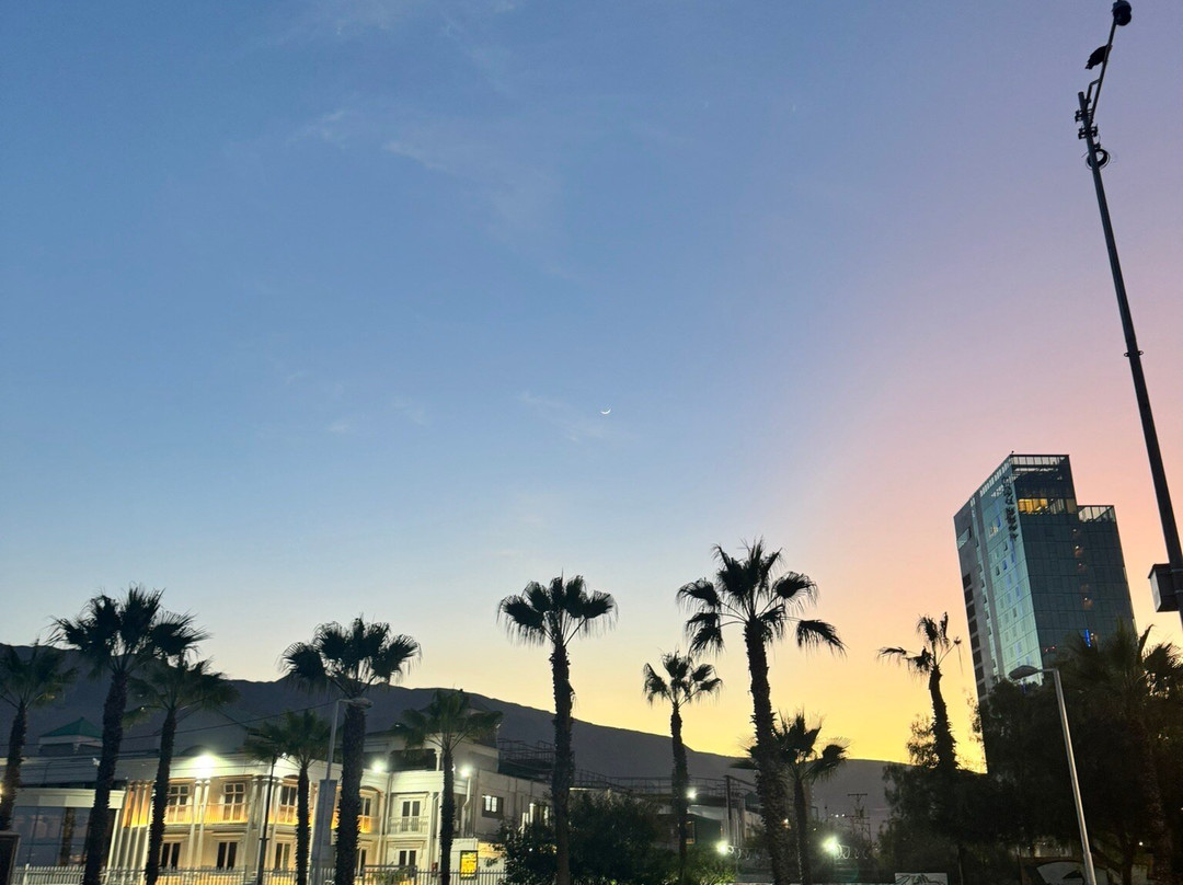 Playa Cavancha-伊基克必去景点