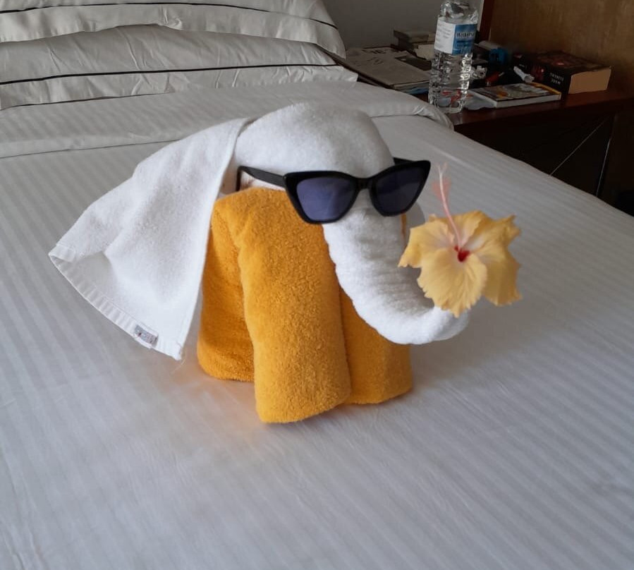 阿洪加拉遗产酒店主图