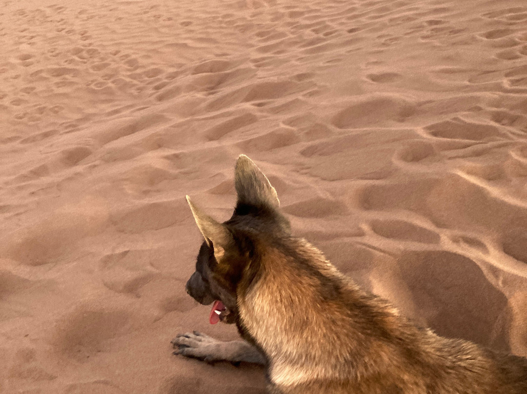 Chegaga spirit-迈哈米德必去景点