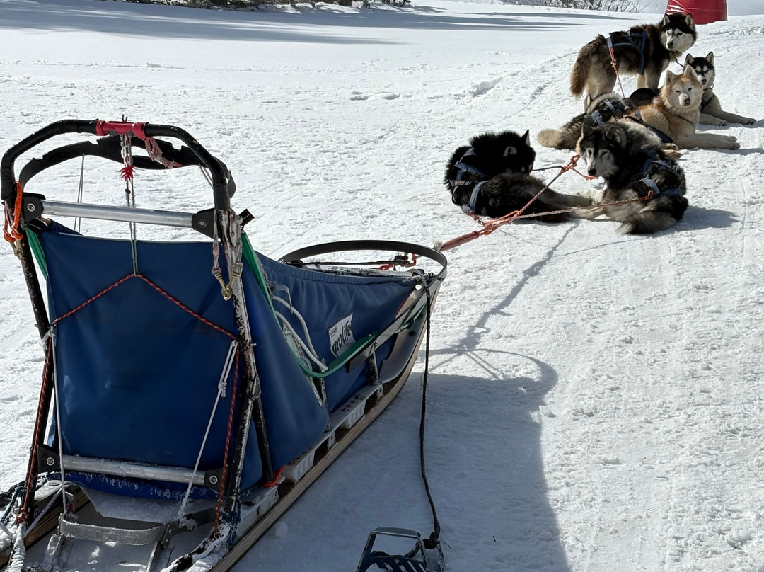 The Husky Experience Sestriere-Sestriere必去景点